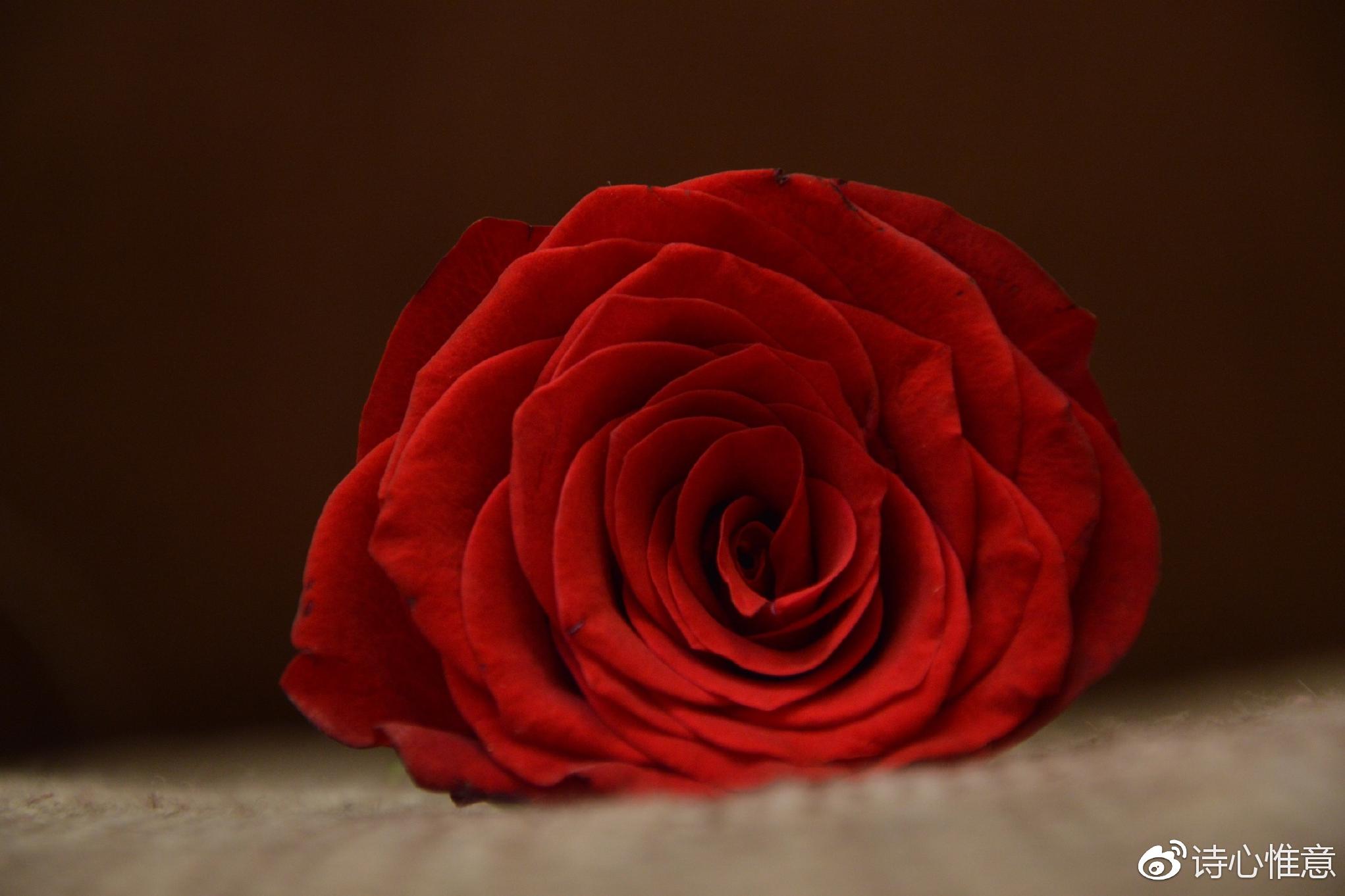 《归藏》则预 七绝 平起首句押韵 平水韵 十一尤