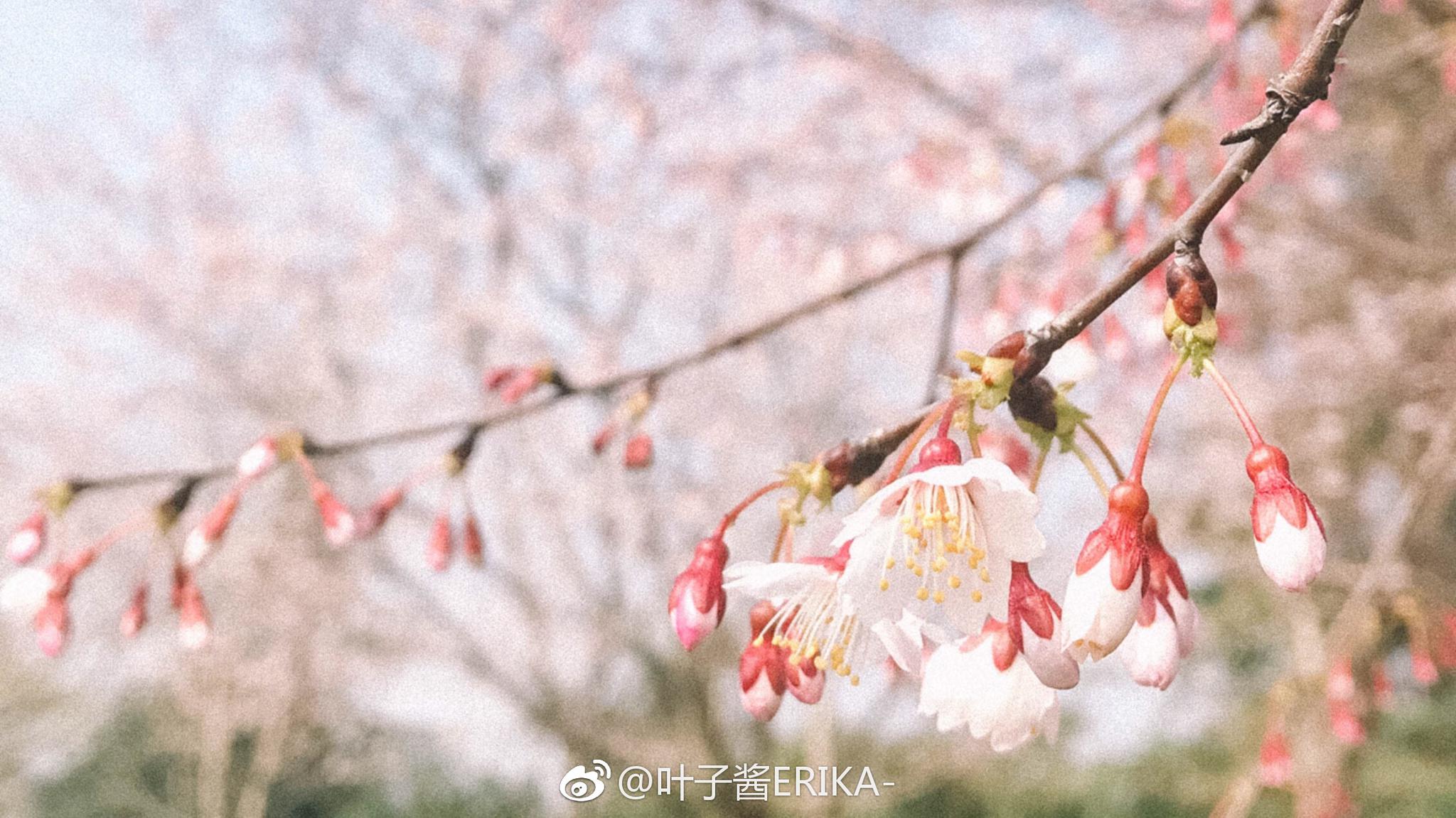 寒来暑往 秋收冬藏 我们来日方长