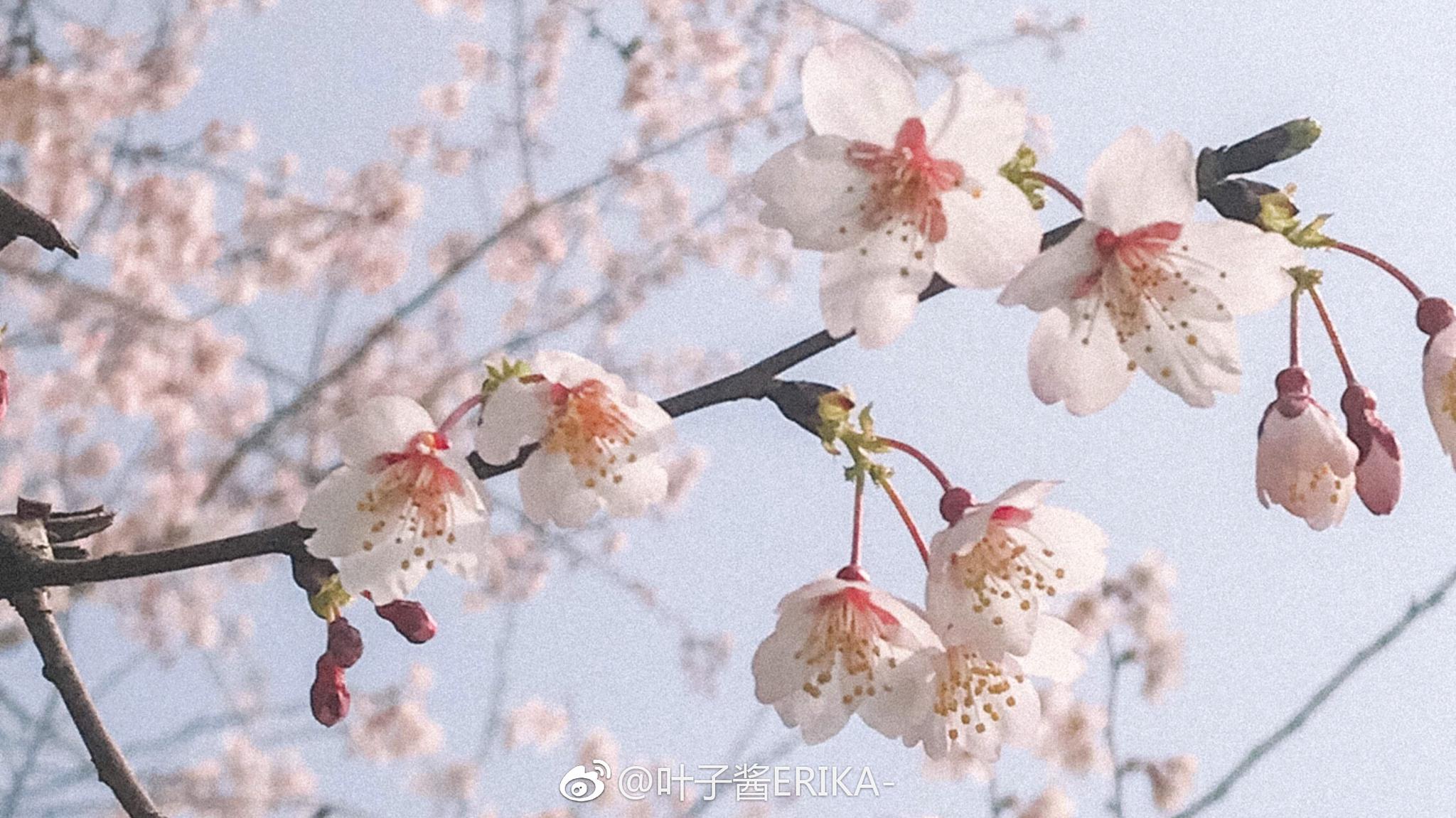 寒来暑往 秋收冬藏 我们来日方长