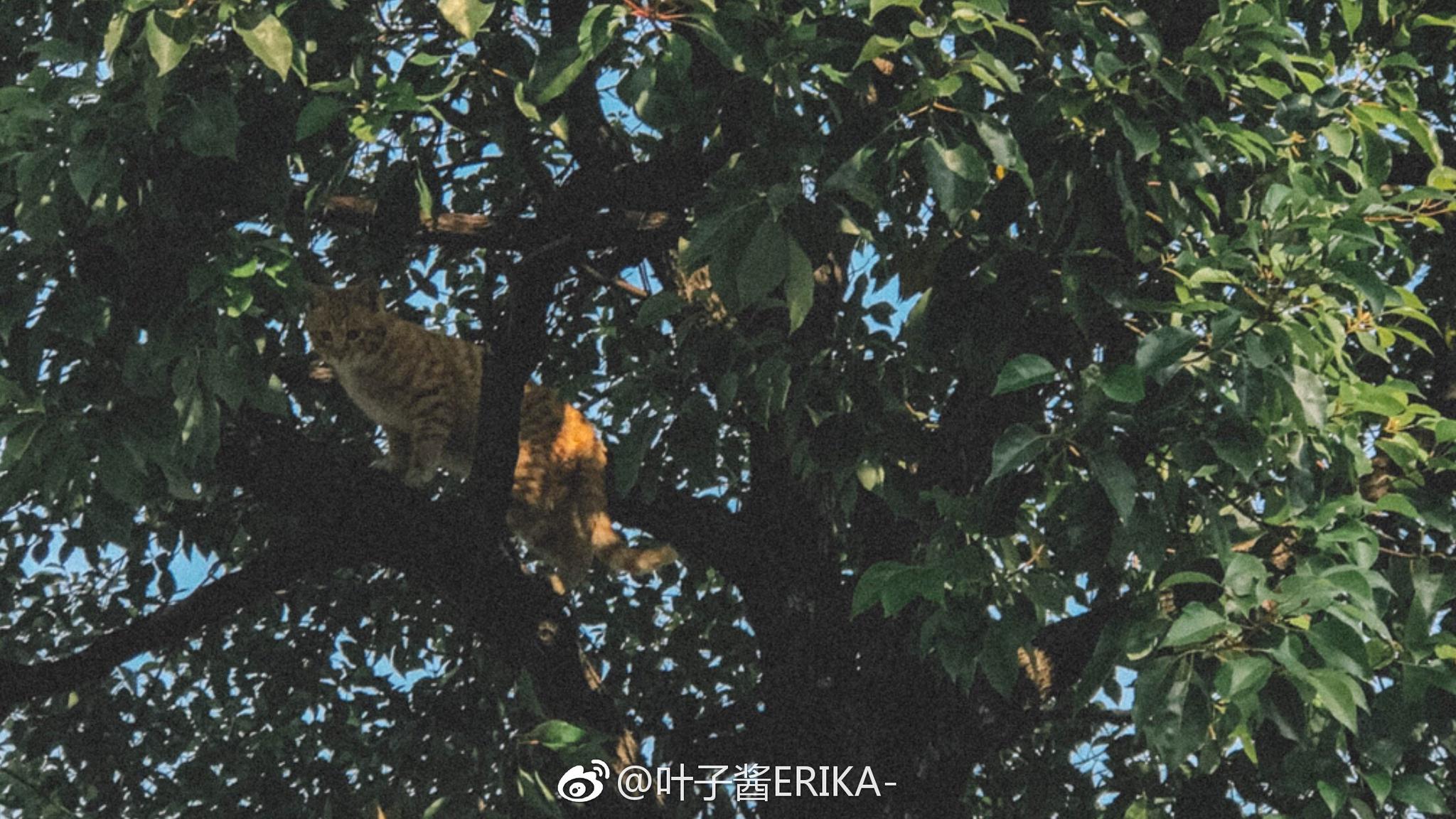 寒来暑往 秋收冬藏 我们来日方长