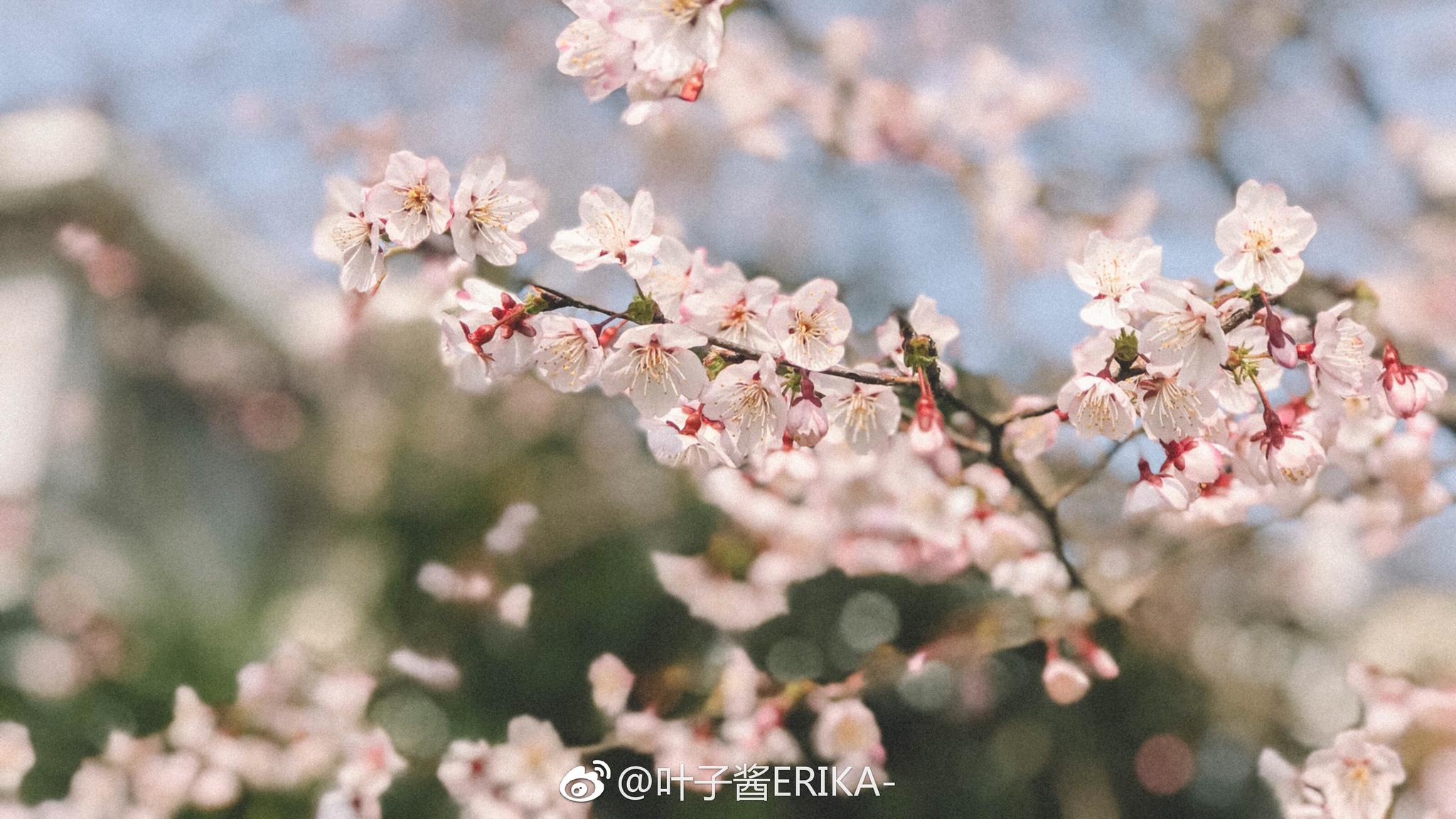 寒来暑往 秋收冬藏 我们来日方长