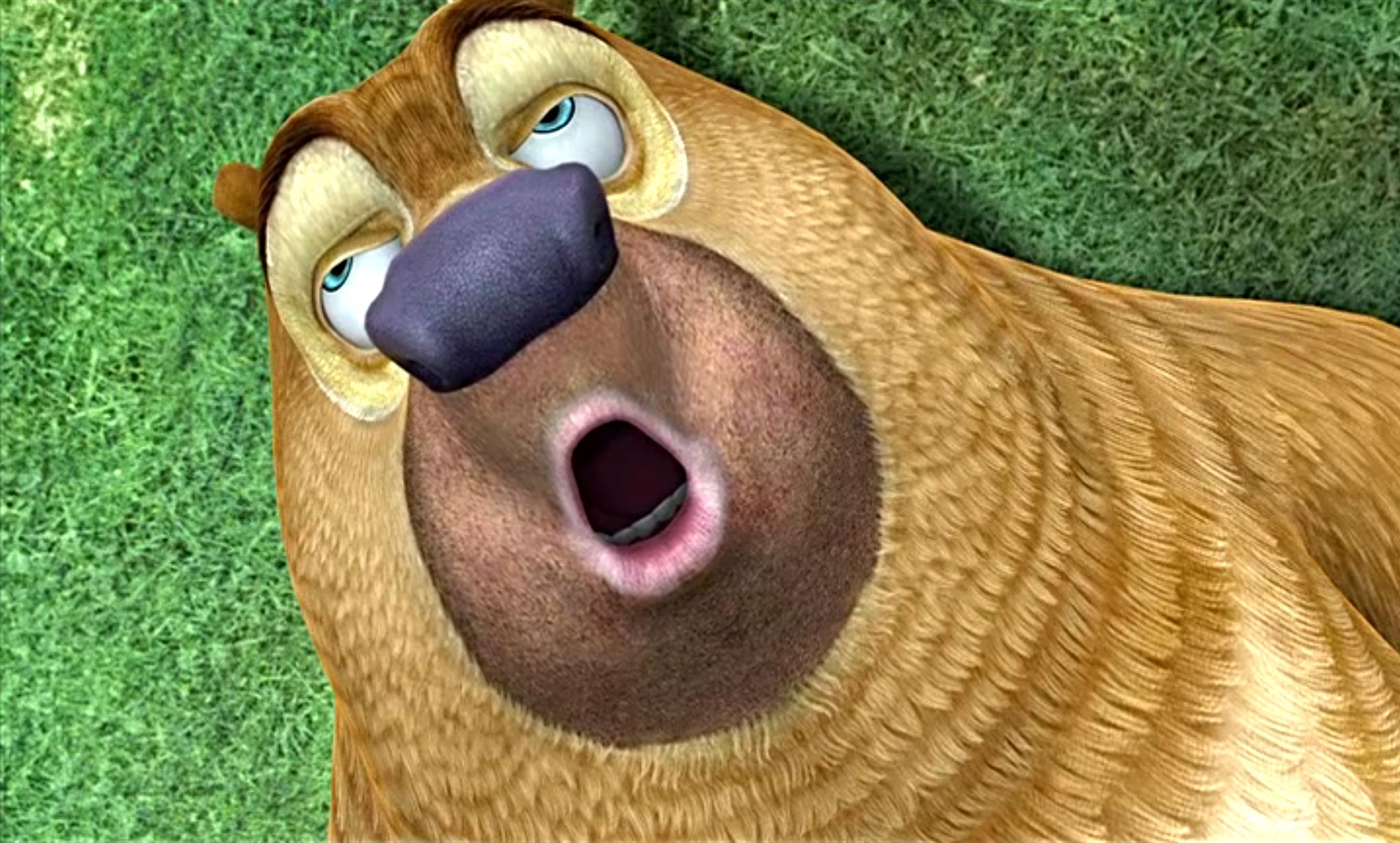 熊出没中这四个片段很少儿不宜，小朋友不要模仿熊二喝厕所水