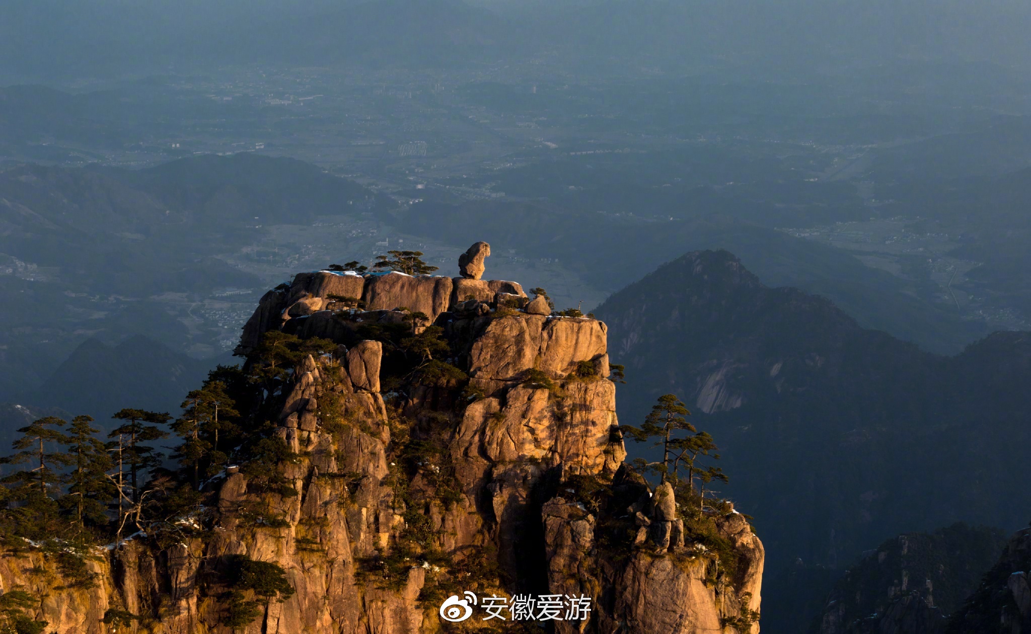 什么树叫荷树的图片,荷树图片欣赏,荷树长什么样_大山谷图库