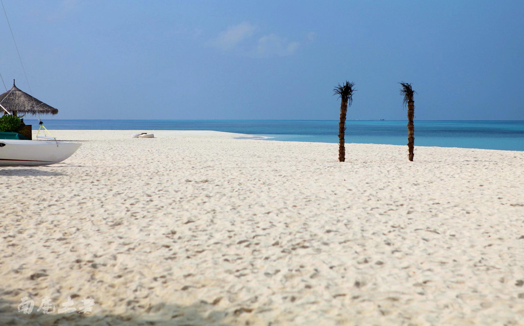 夫妇在马尔代夫的热带海滩码头图片下载 - 觅知网