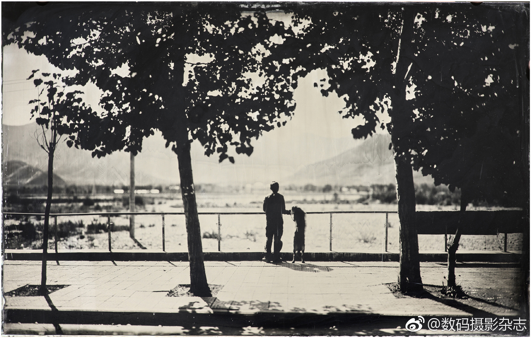 于翔著的《湿版火棉胶摄影教程(精)》是一本详