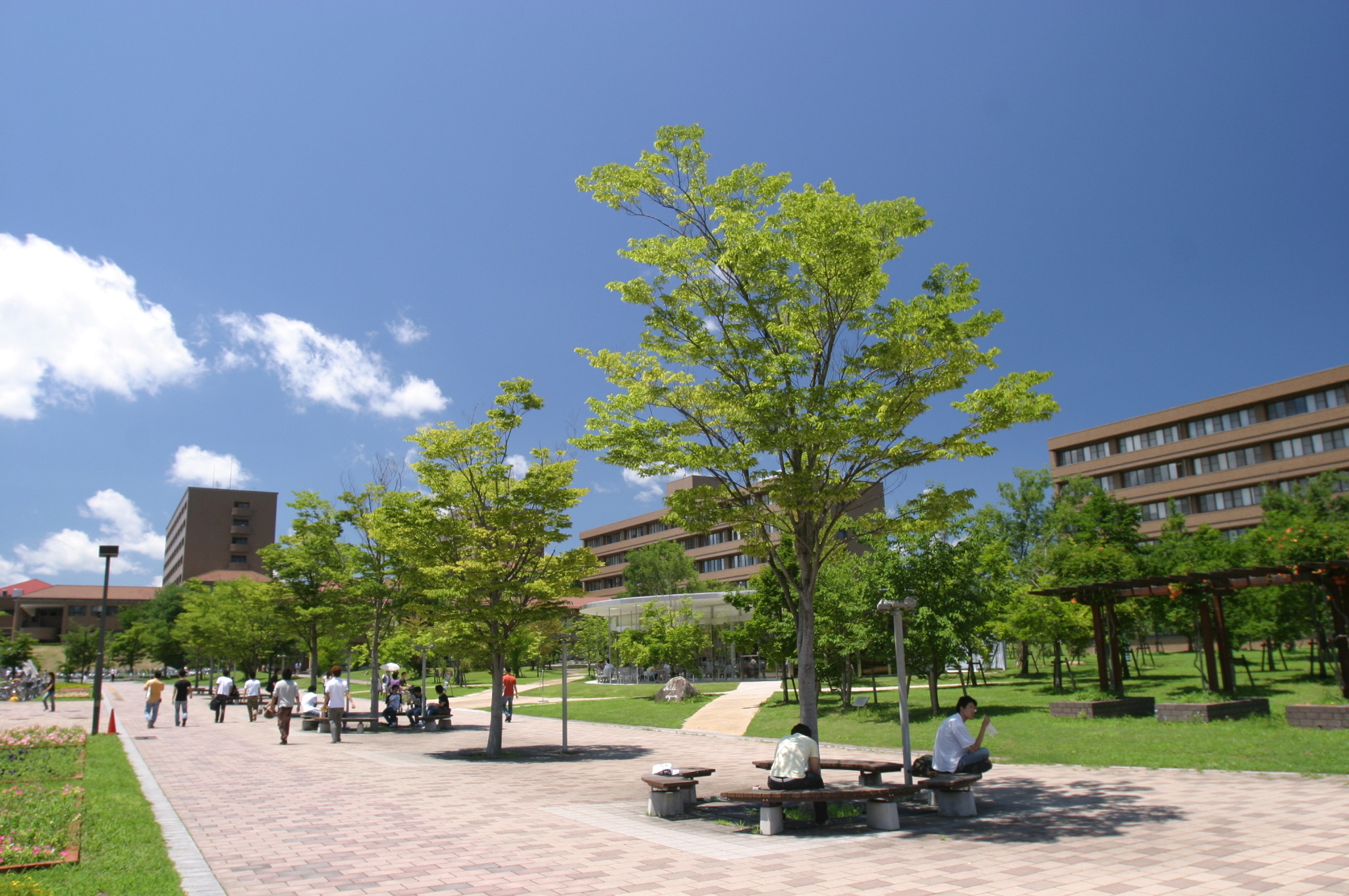 日本广岛大学