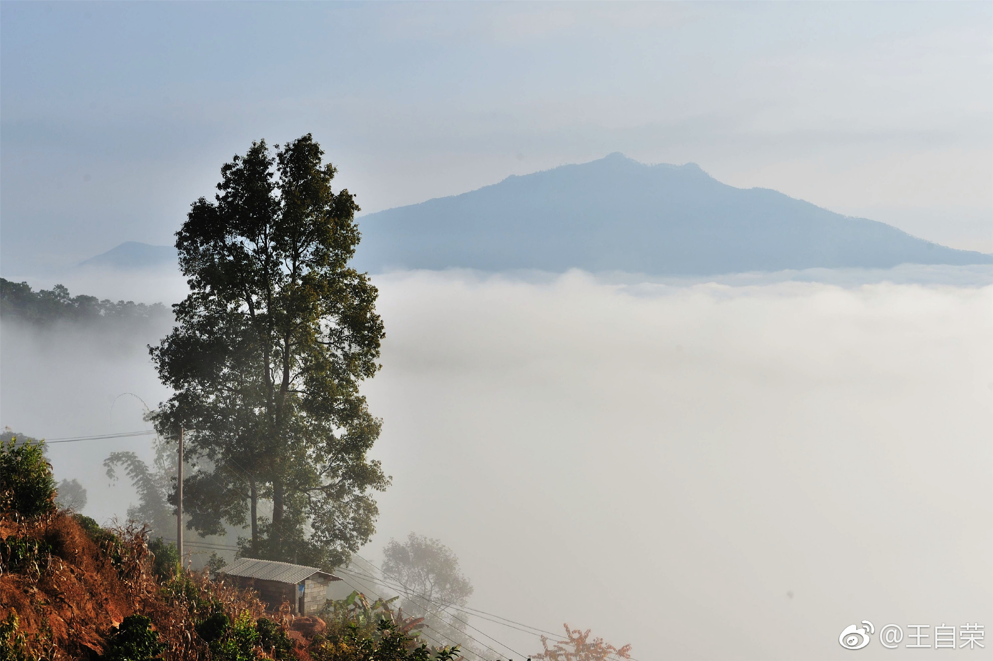 临沧的马台，澜沧江上的云海。_新浪看点