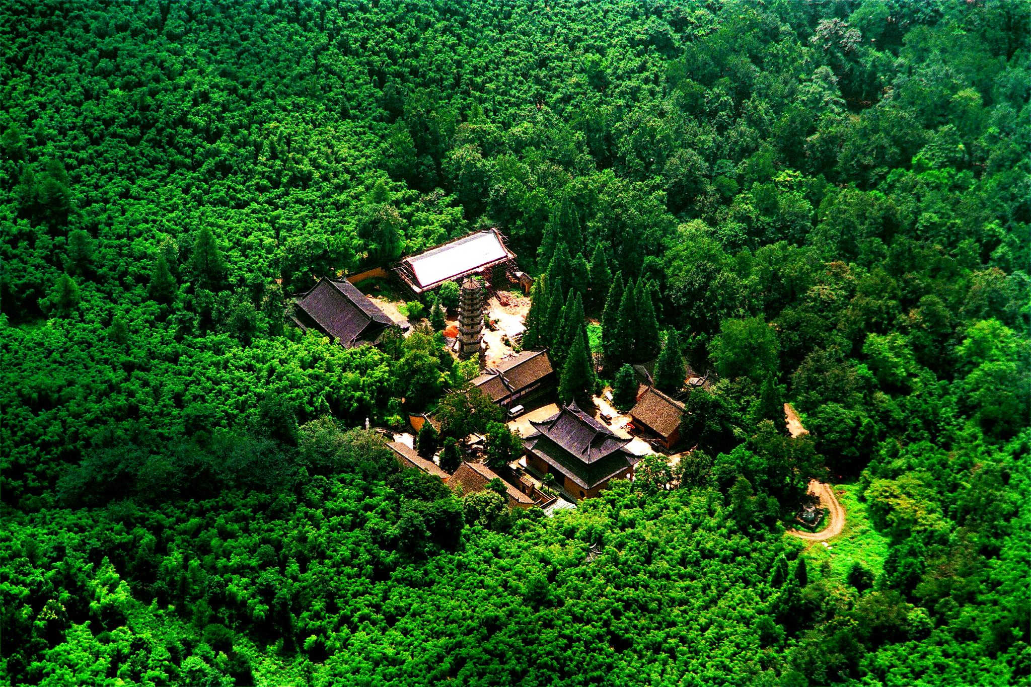 安吉灵峰森林公园.资料图片