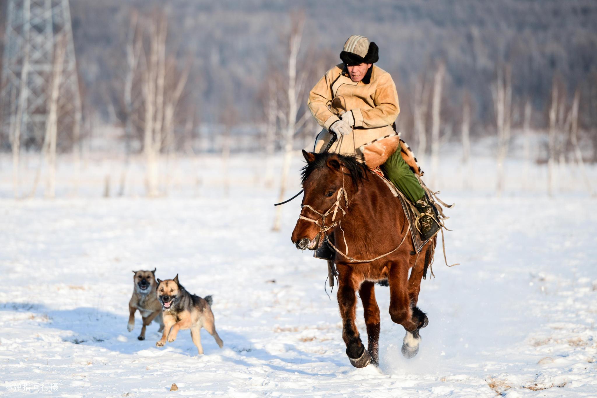 高端定制 | 狂野俄罗斯原始森林狩猎军事之旅 六人成团-千行网