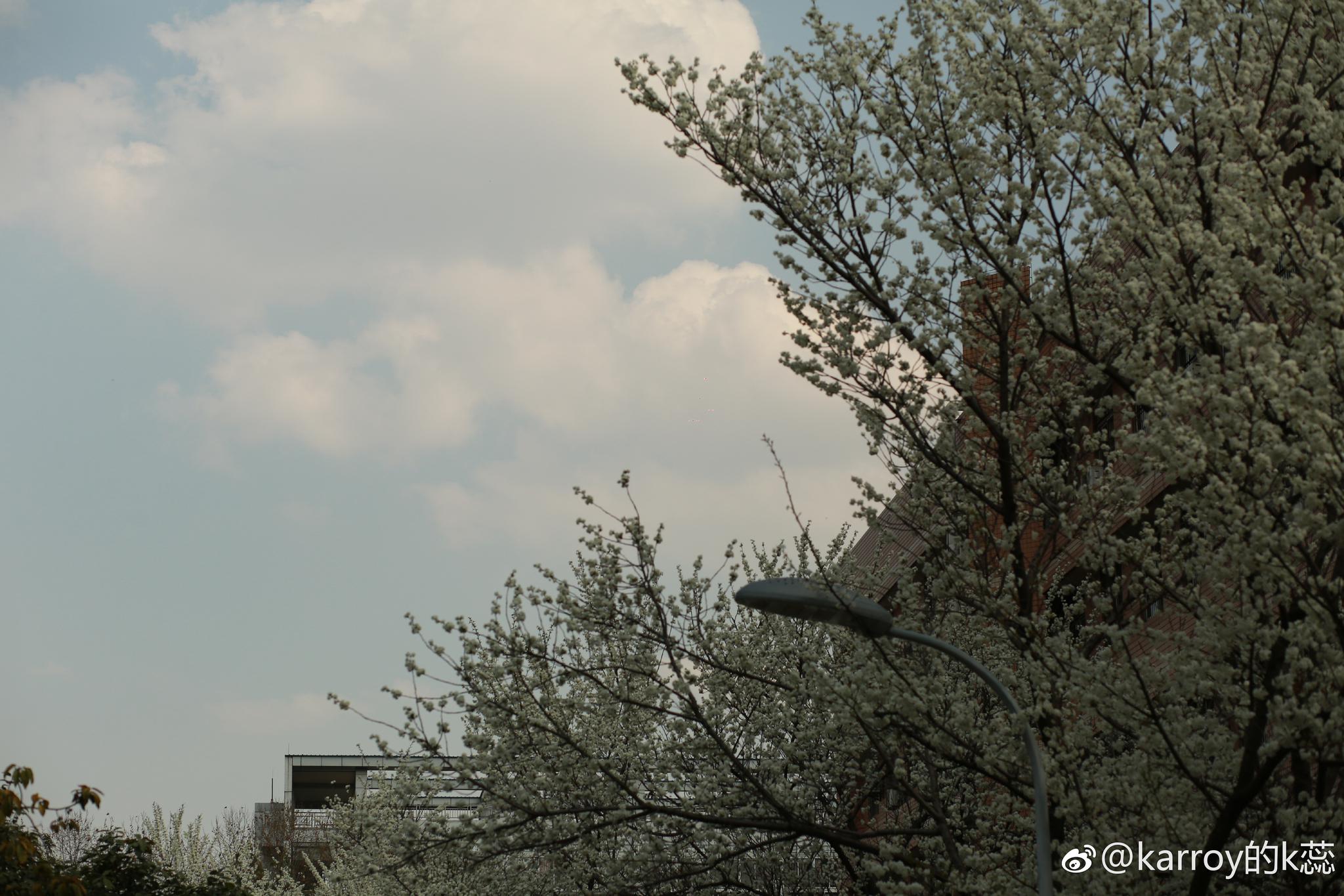 来吧 看看这组原片对比 LR ps 后期调色 卷关艾