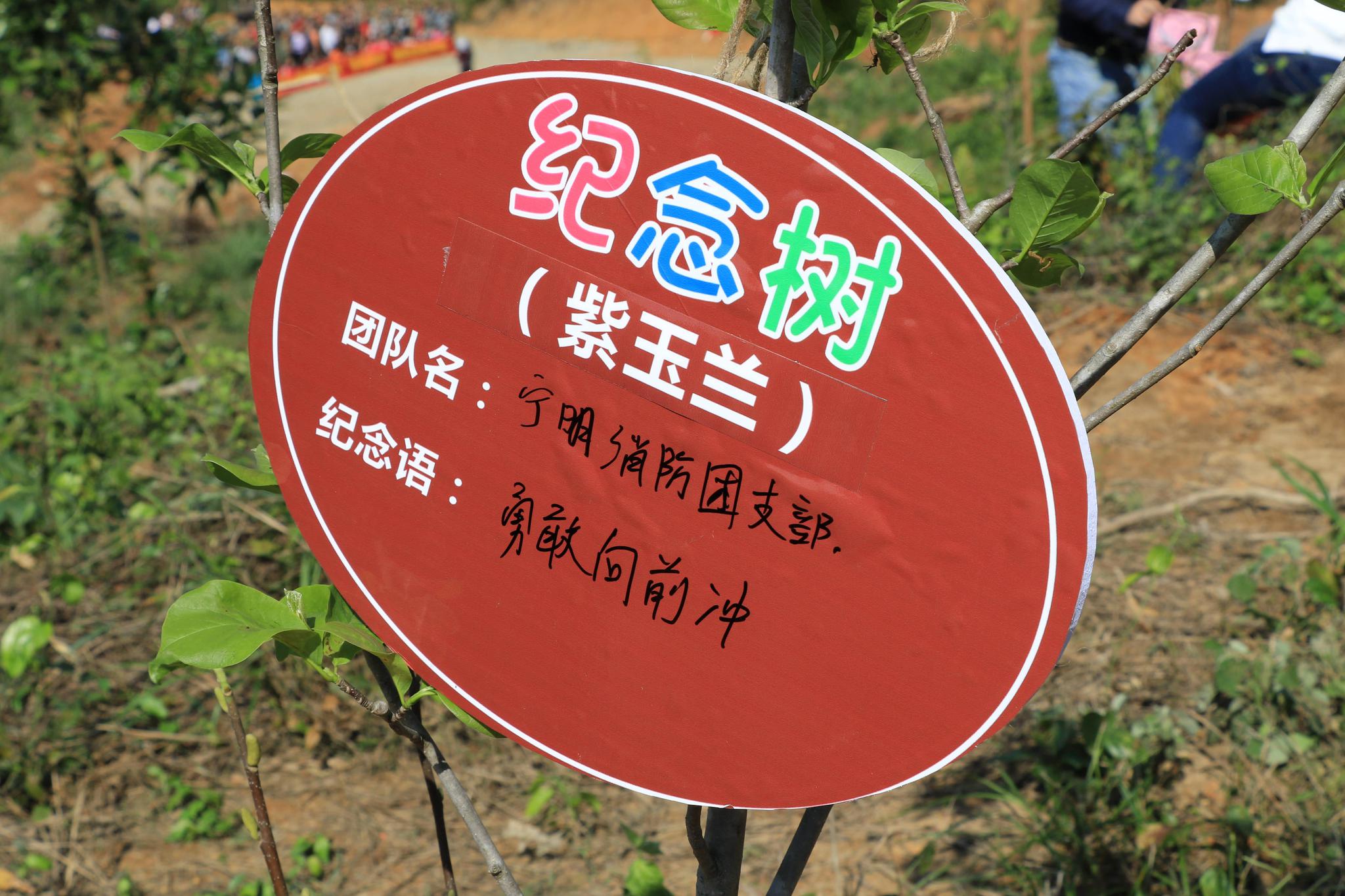 宁明团县委组织开展"团聚青春里·共树友谊林"青年植树联谊活动