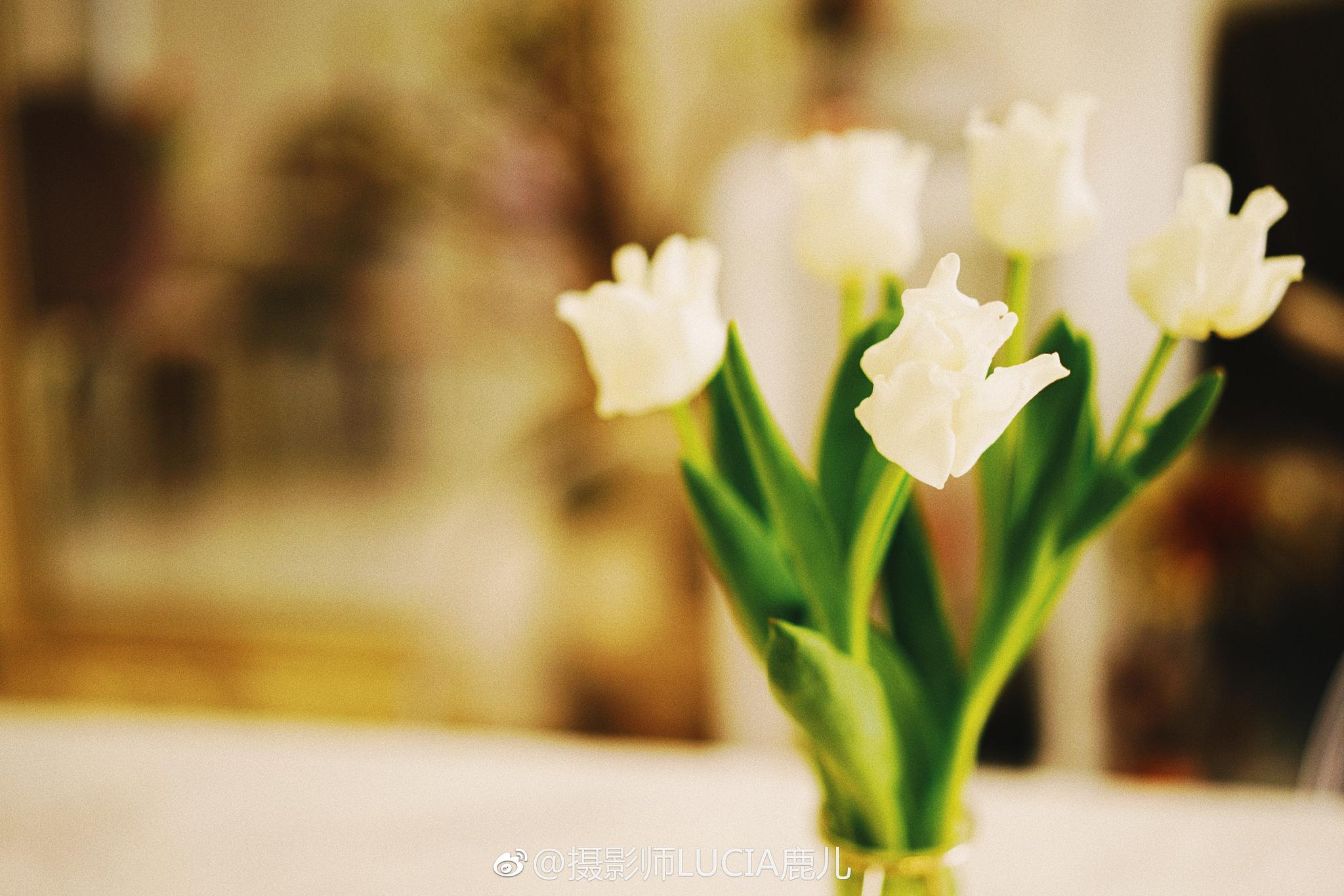 这些可被钟爱的细节啊。 a7r2 55f1.8