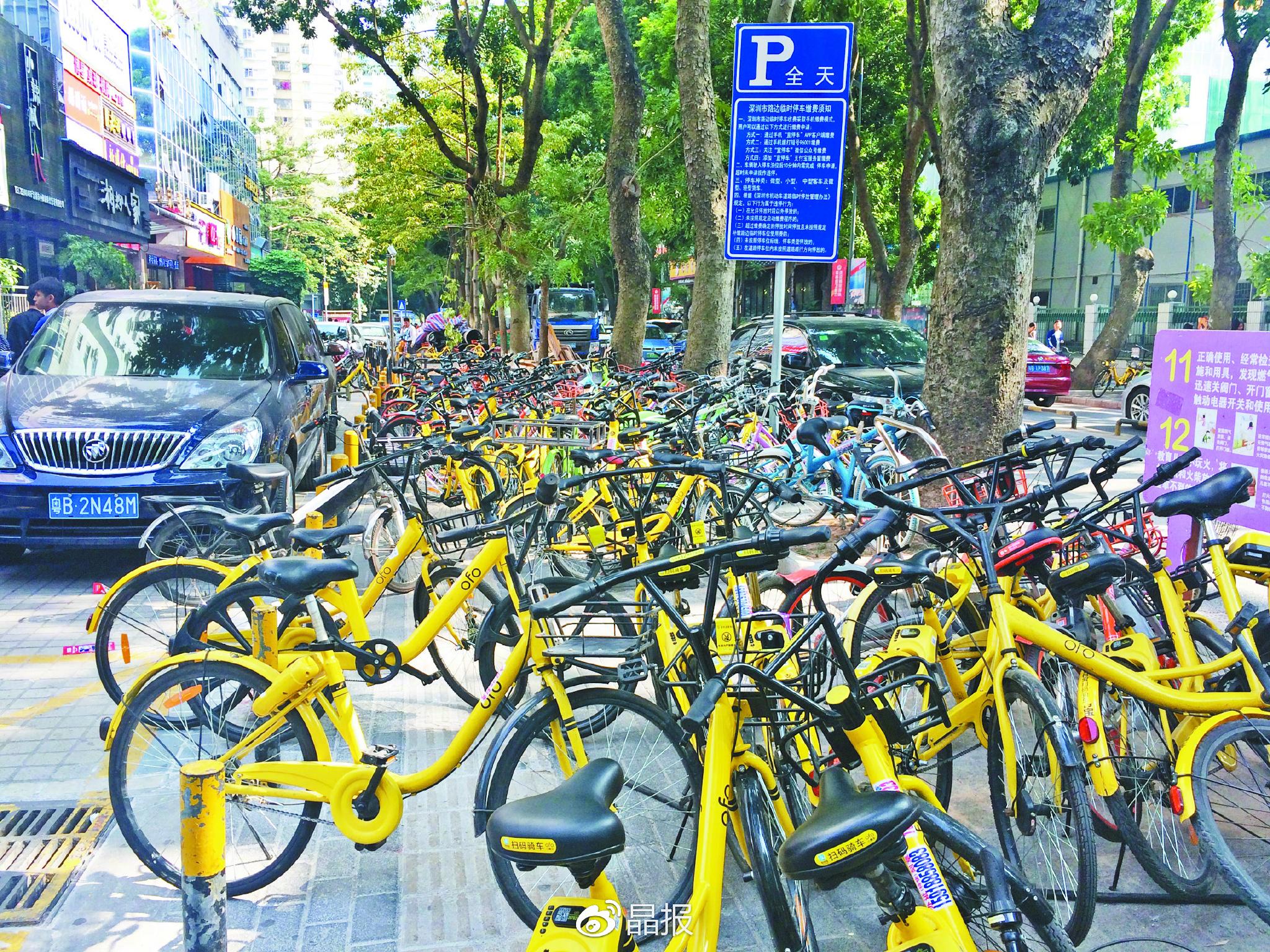 深圳人共享单车的后现代生活图片 1881280 2048x1536