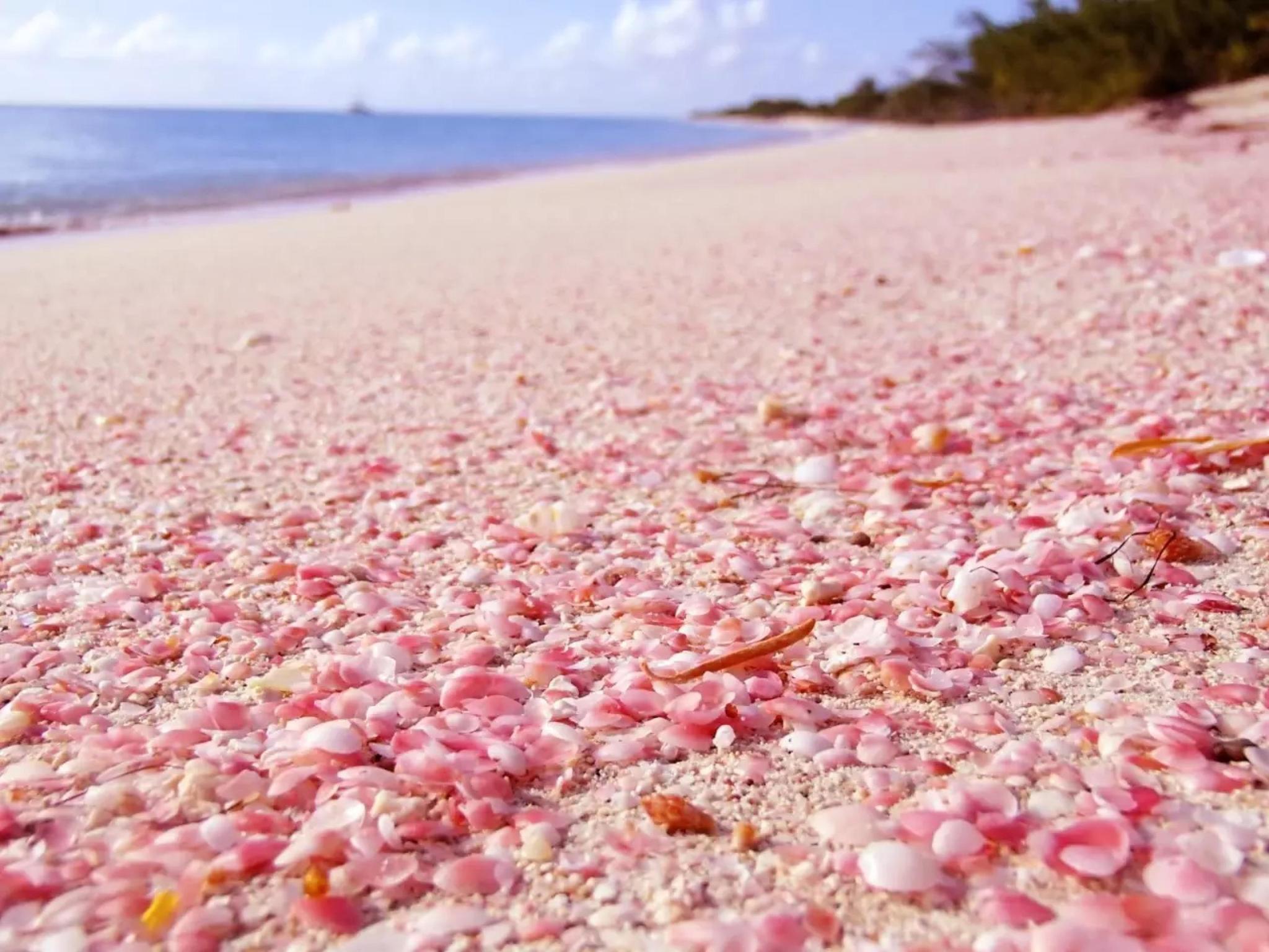 世界上唯一的粉色沙滩,浪漫唯美,让人迷恋