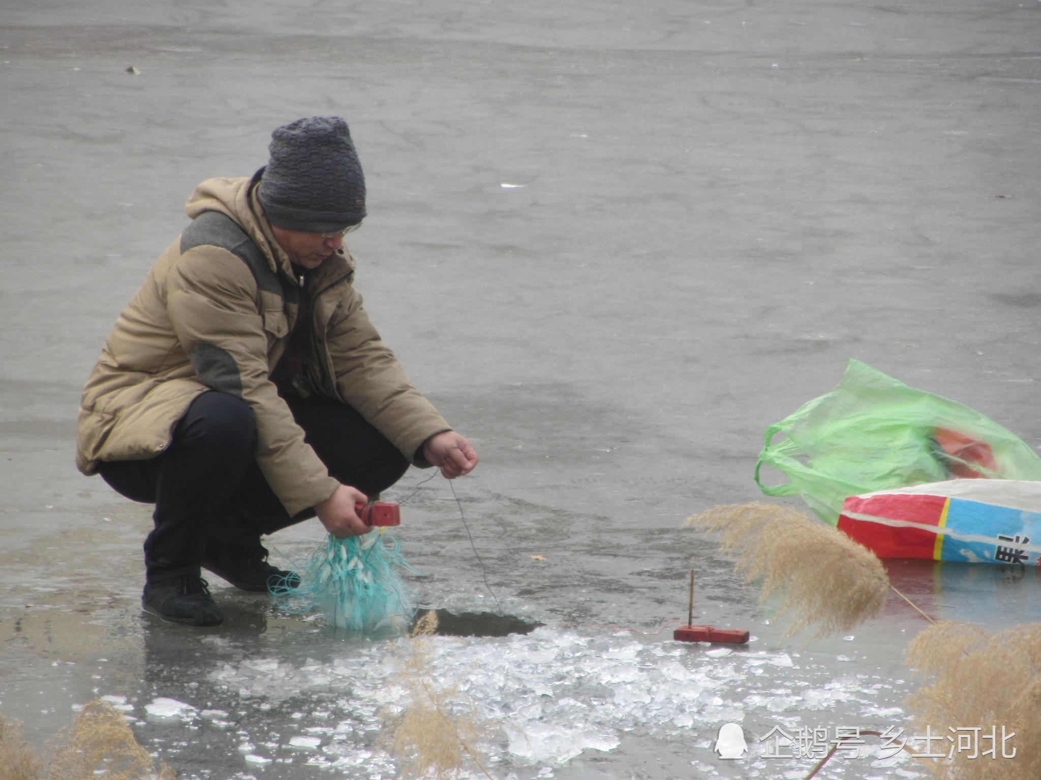两位小伙冬捕用神器,下网只需1分钟,鱼儿是不