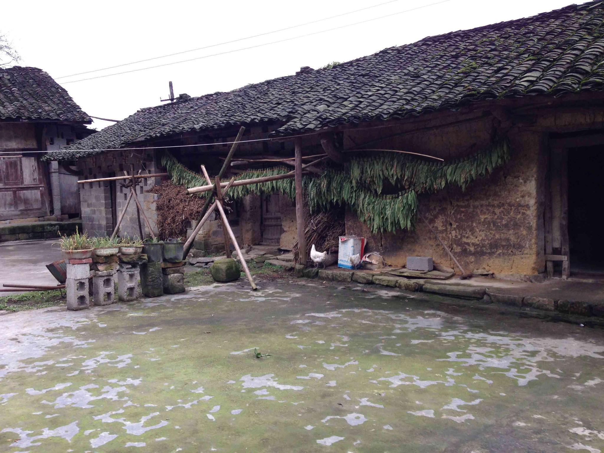 农村宅基地确权,这点问题要注意,房子周围这些