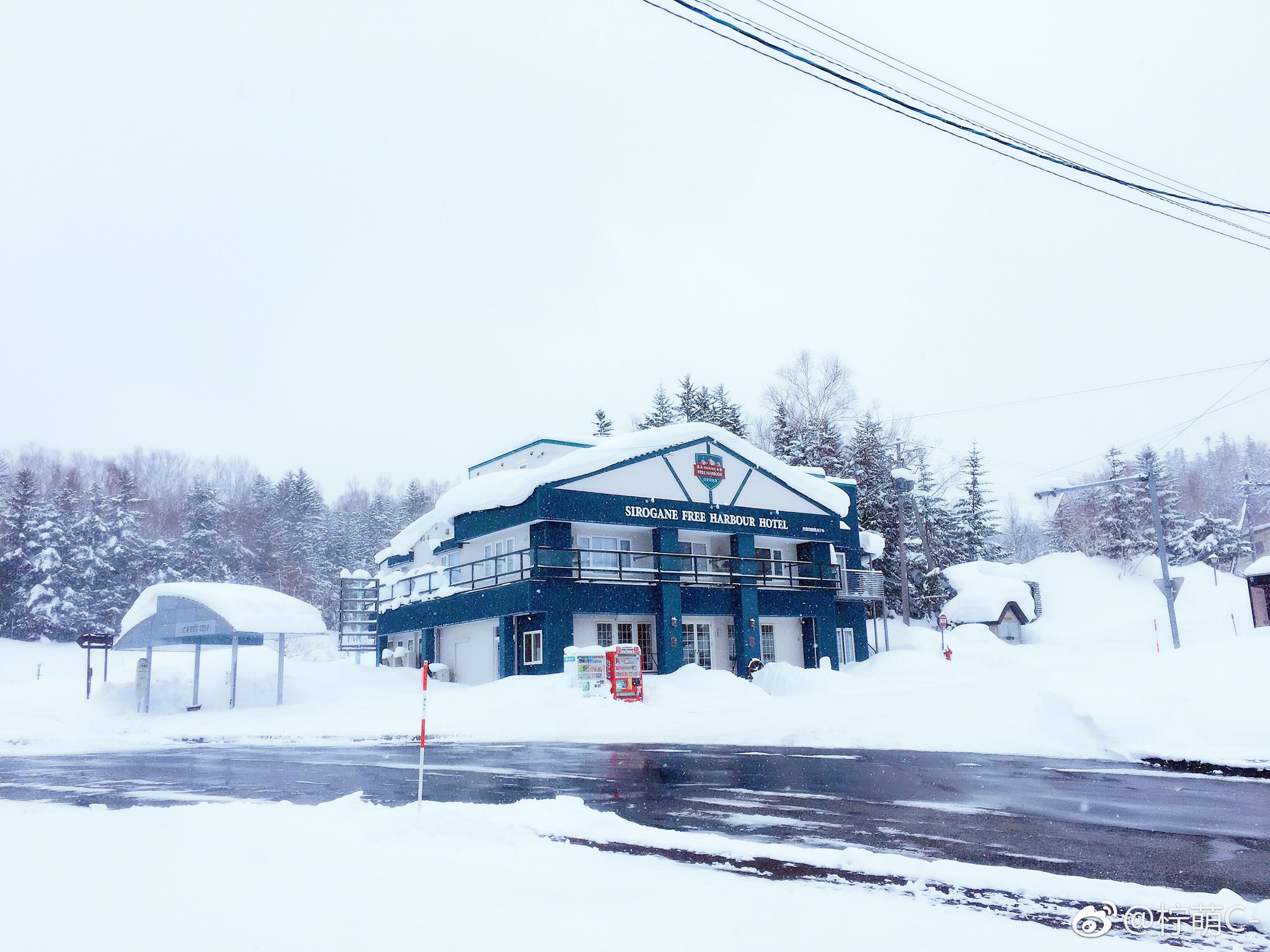 北海道的雪 纯净的白色世界!