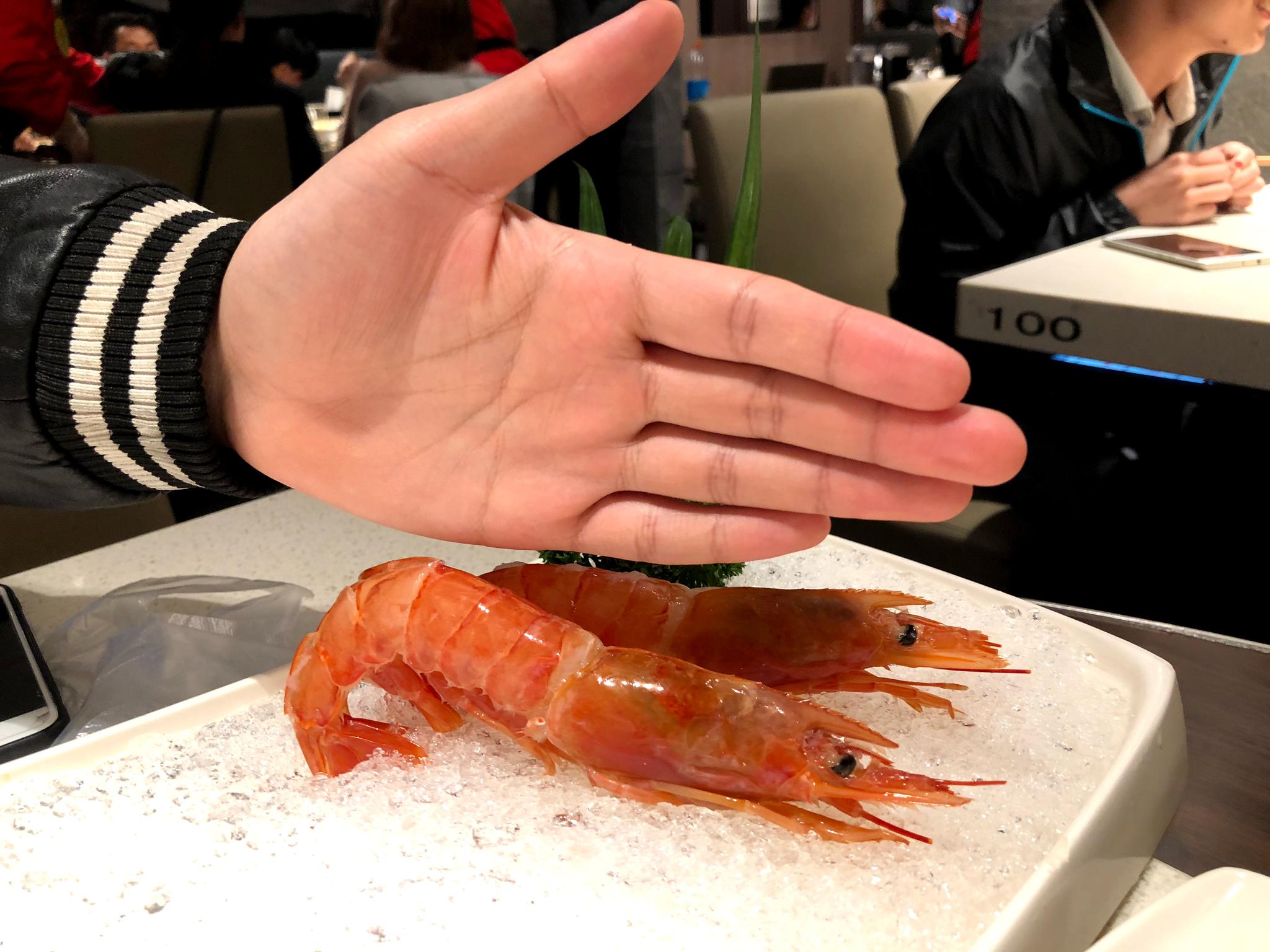 v机油一下机油捞网红吃法,蟹蟹送的阿根廷红虾三十万思域海底图片