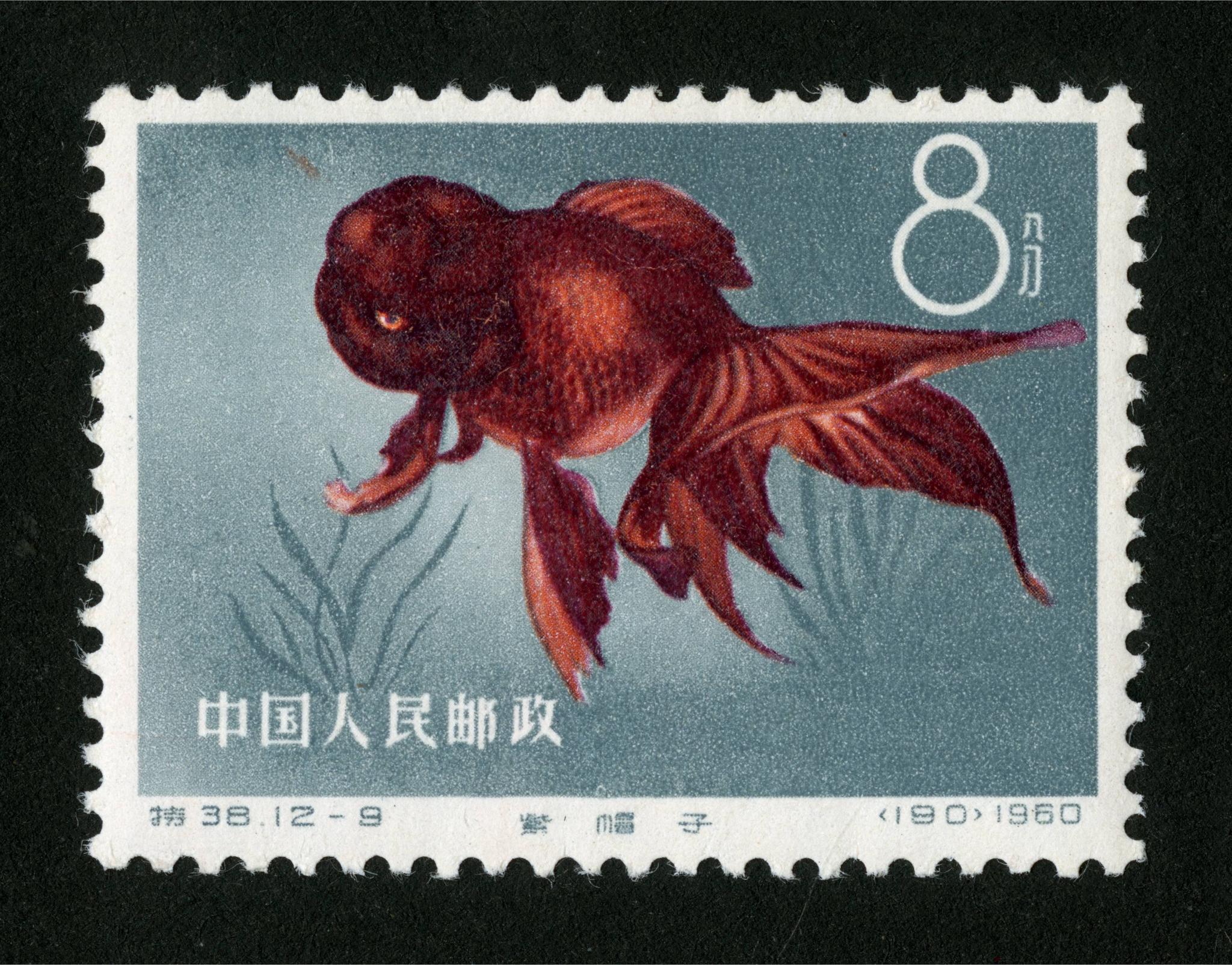 JT票里的精品，比如京剧脸谱、红楼梦，现在还能入手吗？会不会在山顶上？