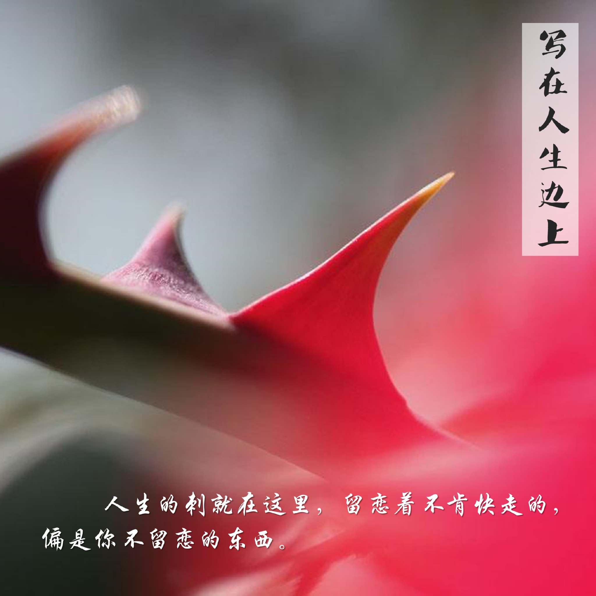 重温经典