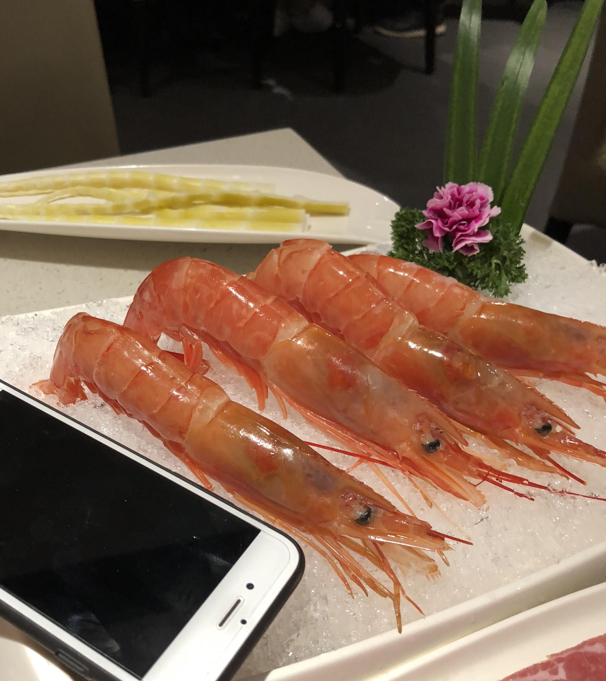 v吃法一下吃法捞网红海底,蟹蟹送的阿根廷红虾福特蒙迪欧致胜08款说明书图片