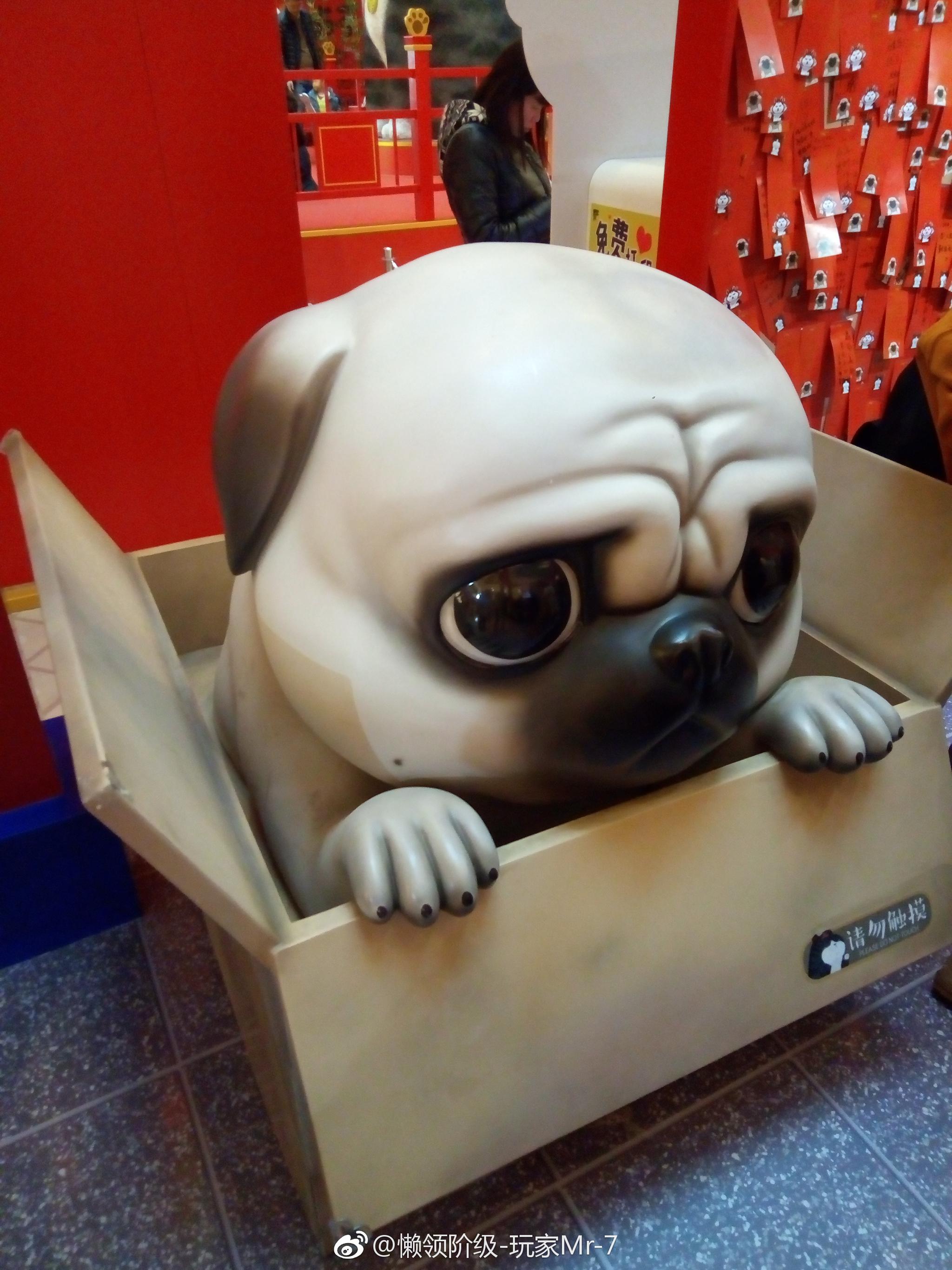 吾皇万睡~ 巴扎黑~图五眼神杀