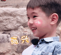 嗯哼大王就这么可爱,爸爸去哪儿5超有趣嗯哼gif表情包