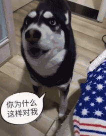 幽默搞笑图片:我想要个对象就这么难吗?