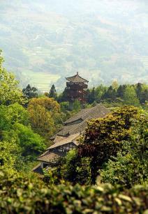 蒙顶山扬子江中水，蒙山顶上茶