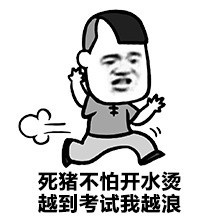 金表情版期末复习专用搞笑图片牛的照片考试馆长图片