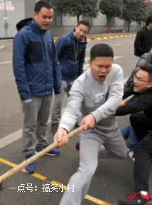 趣图分享:没有表情的拔河是没有灵魂的,今天能不能赢就靠你了