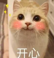 可爱猫咪表情带字表情参见子龙赵表情包图片