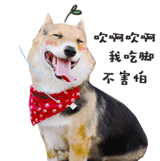 壁纸 动物 狗 狗狗 224_226 gif 动态图 动图