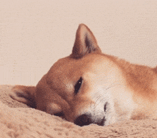 最多能连休16天!就问你敢不敢?