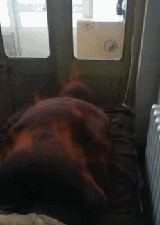 搞笑gif:姑娘大冬天光腿穿短裤,还真是美丽冻人