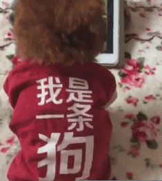 搞笑GIF圖：大爺跟群主要紅包，竟拿出磚頭
