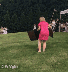 爆笑gif趣图:事实证明,脸刹果然很好用,哈哈哈哈