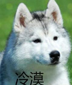 邪魅一笑.jpg