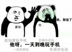 我和假期之间就隔着一沓作业!金馆长熊猫人头斗图表情