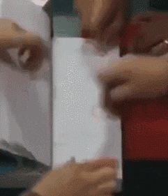 壁纸 动物 狗 狗狗 241_281 gif 动态图 动图