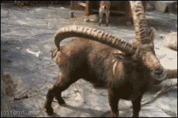爆笑gif:小伙子,这下有点尴尬了,等着跪搓衣板吧!