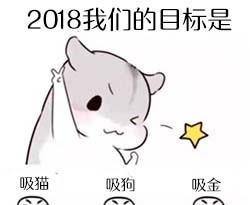 仓鼠斗图表情包搞笑图片