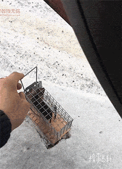 搞笑gif图片集锦:论戏精小男孩的人生巅峰 这个挑眉就