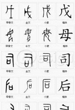 “司母戊鼎”更名“后母戊鼎”，其实还有一个名字更贴切