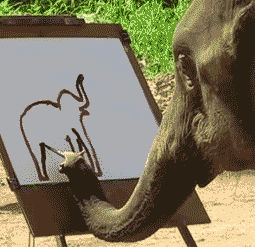 搞笑图片笑话段子不好笑你找我:大家都知道你有大象腿