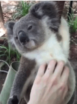 今天在公园溜达