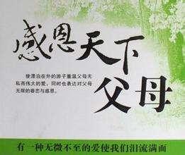 孝顺父母要趁早,不要留下遗憾