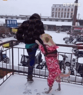 笑岔气的段子:尼玛怪不得老子昨晚头皮痛,看老子不爽