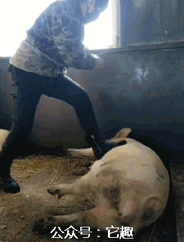 搞笑gif图:这老头不碰瓷,改行当和尚化缘了?