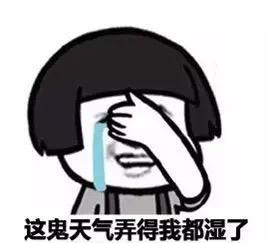 南方回南天搞笑表情包,南方潮湿天气搞笑表情包